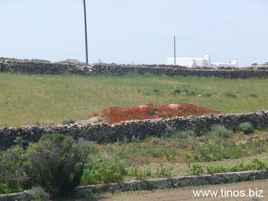 mykonos@ 099